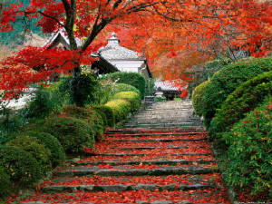 garden-staircase_kyoto_japan.jpg